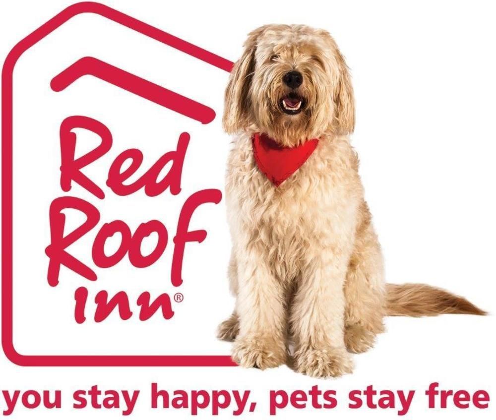 Red Roof Inn Plus+ Austin South Eksteriør bilde